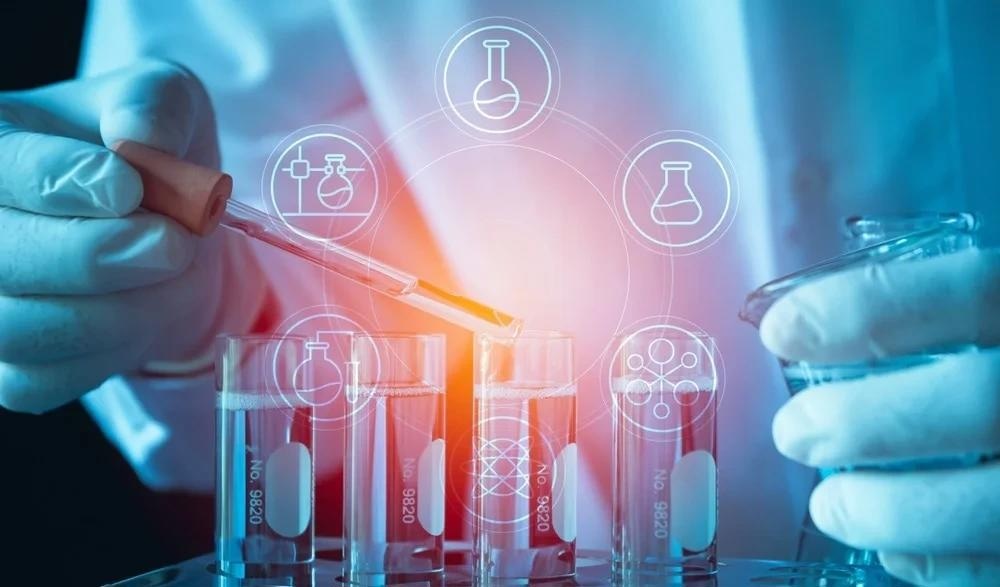 Image Credit: Krisana Antharith/Shutterstock.com