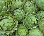 Globe artichokes: A rich source of dietary fiber and phenolic antioxidants
