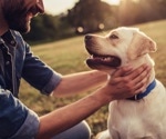 Having a ruff day? Study says spending time with dogs can help