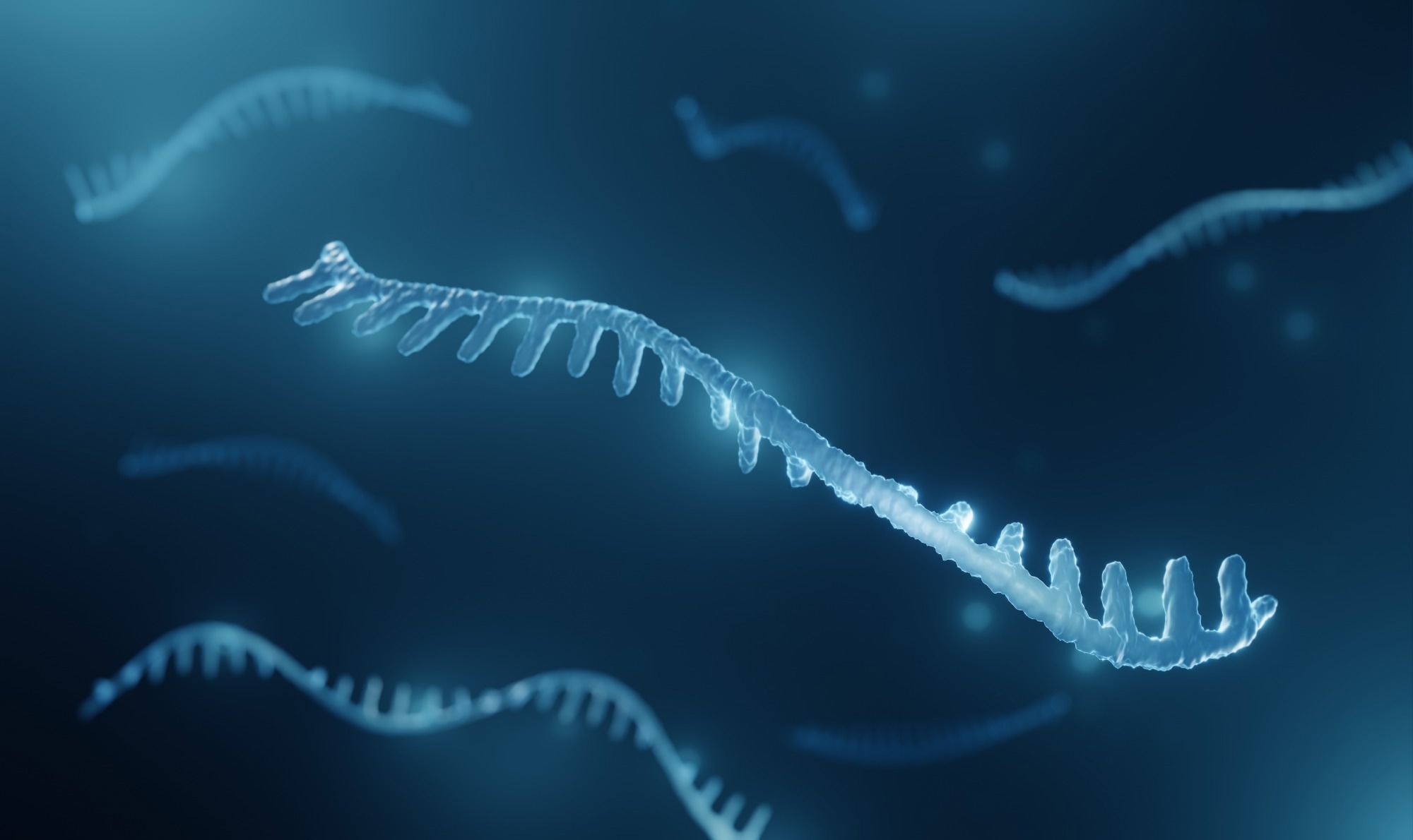 Study: Genetic Loss of miR-205 Causes Increased Mammary Gland Development. Image Credit: ART-ur / Shutterstock