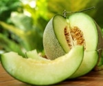 Exploring the health secrets of cucurbits: A closer look at Cucumis and Momordica