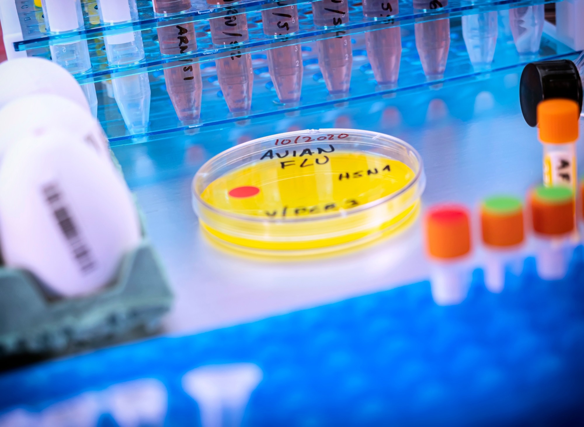 Research: Highly Pathogenic Avian Influenza A(H5N1) Clade 2.3.4.4b Virus Infection in Domestic Dairy Cattle and Cats, United States, 2024. Image Credit: felipe caparros / Shutterstock