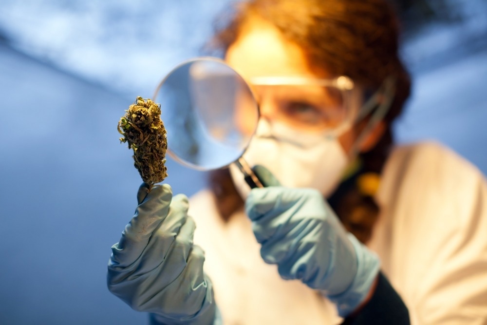 Image Credit: Fotopogledi/Shutterstock.com