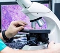 How Infrared Microscopy Can Solve Classic Histopathology Problems