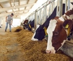 Alarming spread of H5N1 bird flu in US dairy cattle reveals cross-species transmission dangers