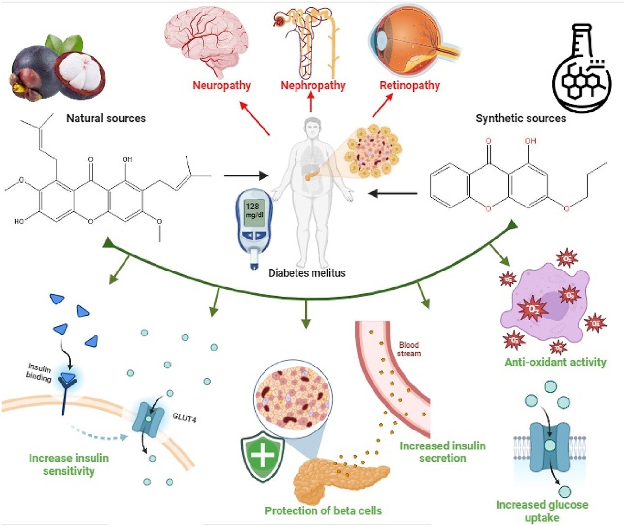 Graphical abstract indicating the effectiveness of xanthones in the treatment of diabetes.