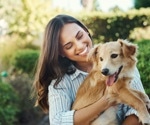 Pets significantly reduce anxiety and depression in women, especially those with childhood trauma