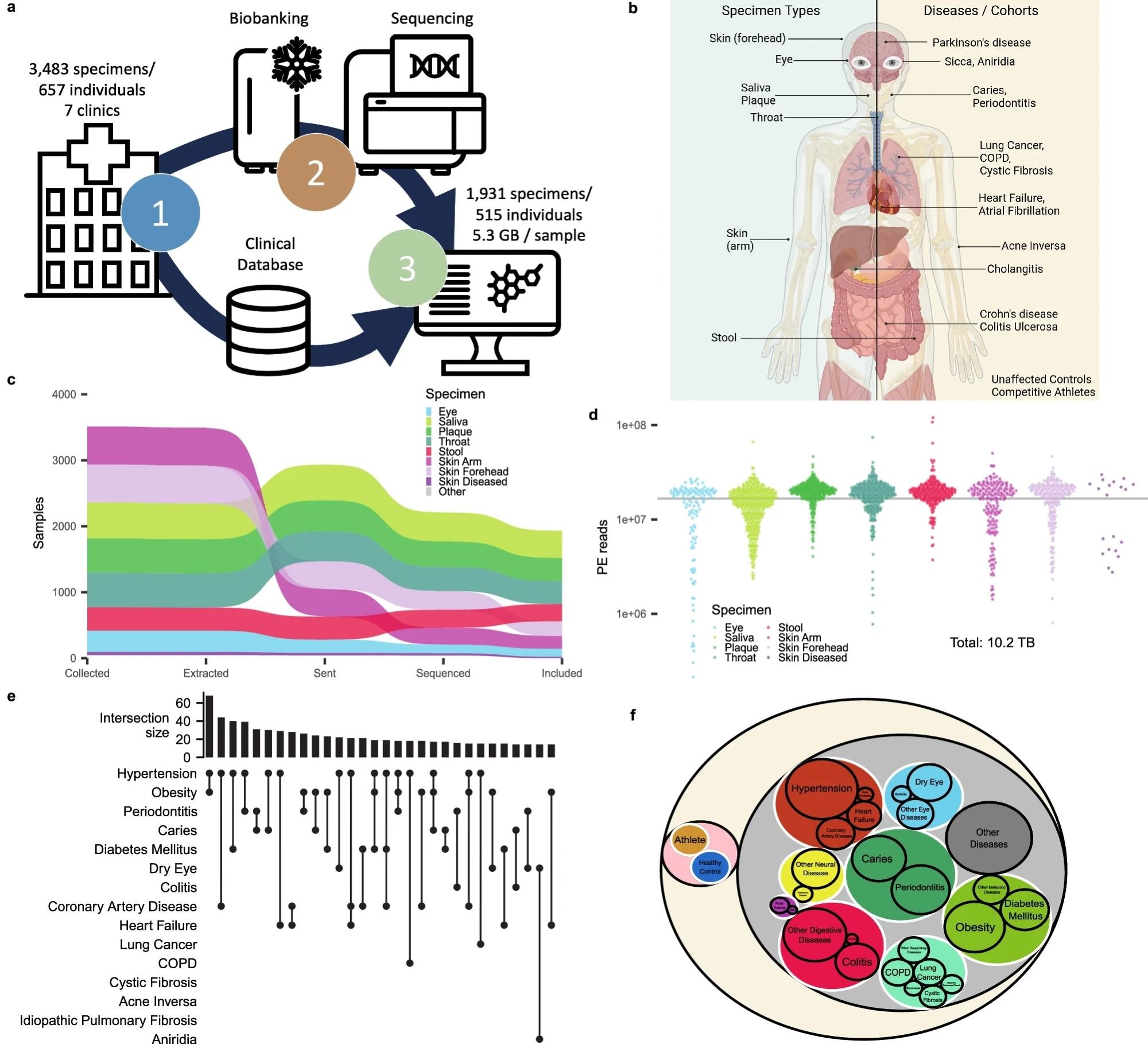 a Schematic Workflow describing the sample (upper arrow) and data flow (lower arrow) between clinicians, microbiology, and data science. The clinical data were kept separated from the measurement of microbiomes and only combined after measurement in the computational analysis. b Clinical sampling was focused on seven biospecimens (left blue part). We included patients from a wide range of clinical diseases, which allowed us to analyze the diagnostic potential of different specimen types across diseases. Created with BioRender.com, released under a Creative Commons Attribution-NonCommercial-NoDerivs 4.0 International license. c Sankey plot for the number of samples included in the study at different intervals of the data generation process in relation to our quality control strategy. Specimen types are ordered vertically at each step in the pipeline by frequency of the respective specimen. d Number of reads for each sample colored by specimen. The horizontal line represents the 5 gigabase threshold at a paired-end read length of 150 bp. e Pruned upset plot displaying the dataset