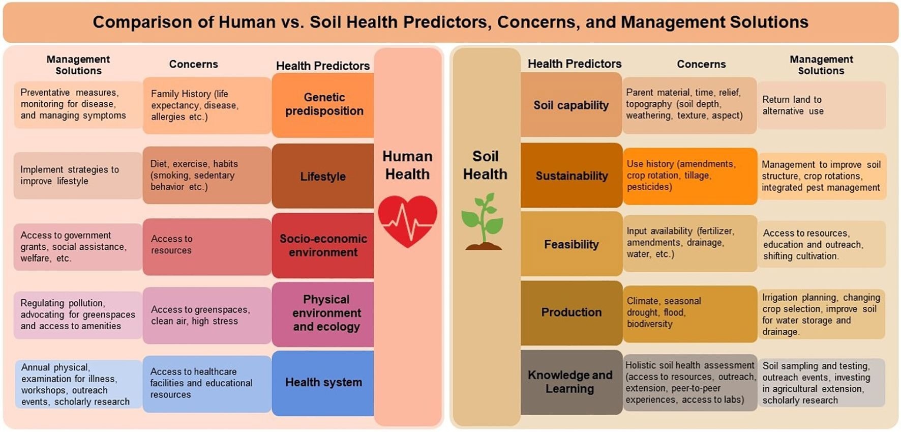 A comparison of human health to soil health using common predictors of human health, including genetic predisposition, lifestyle, socio-economic environment, and ecology and the health system relating them to soil.