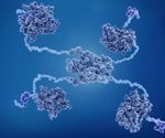 Researchers uncover why the TP53 gene is especially prone to mutations in cancer
