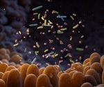 Enzyme from gut microbe shows promise in fighting childhood malnutrition