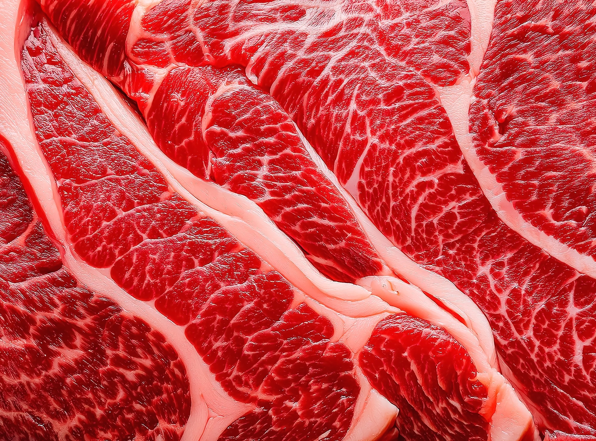 Study: Unprocessed red meat in the dietary treatment of obesity: a randomized controlled trial of beef supplementation during weight maintenance after successful weight loss. Image Credit: ajiilhampratama / Shutterstock