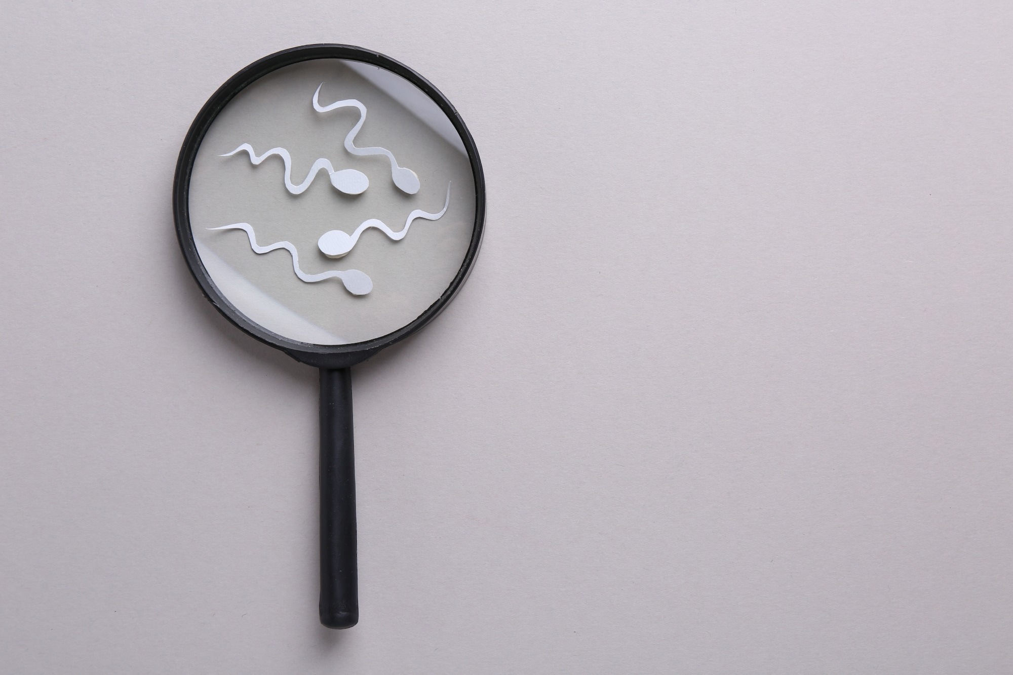 Magnifier and sperm cells on gray background
