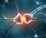 Decades of DNA expansion linked to Huntington’s disease neurodegeneration