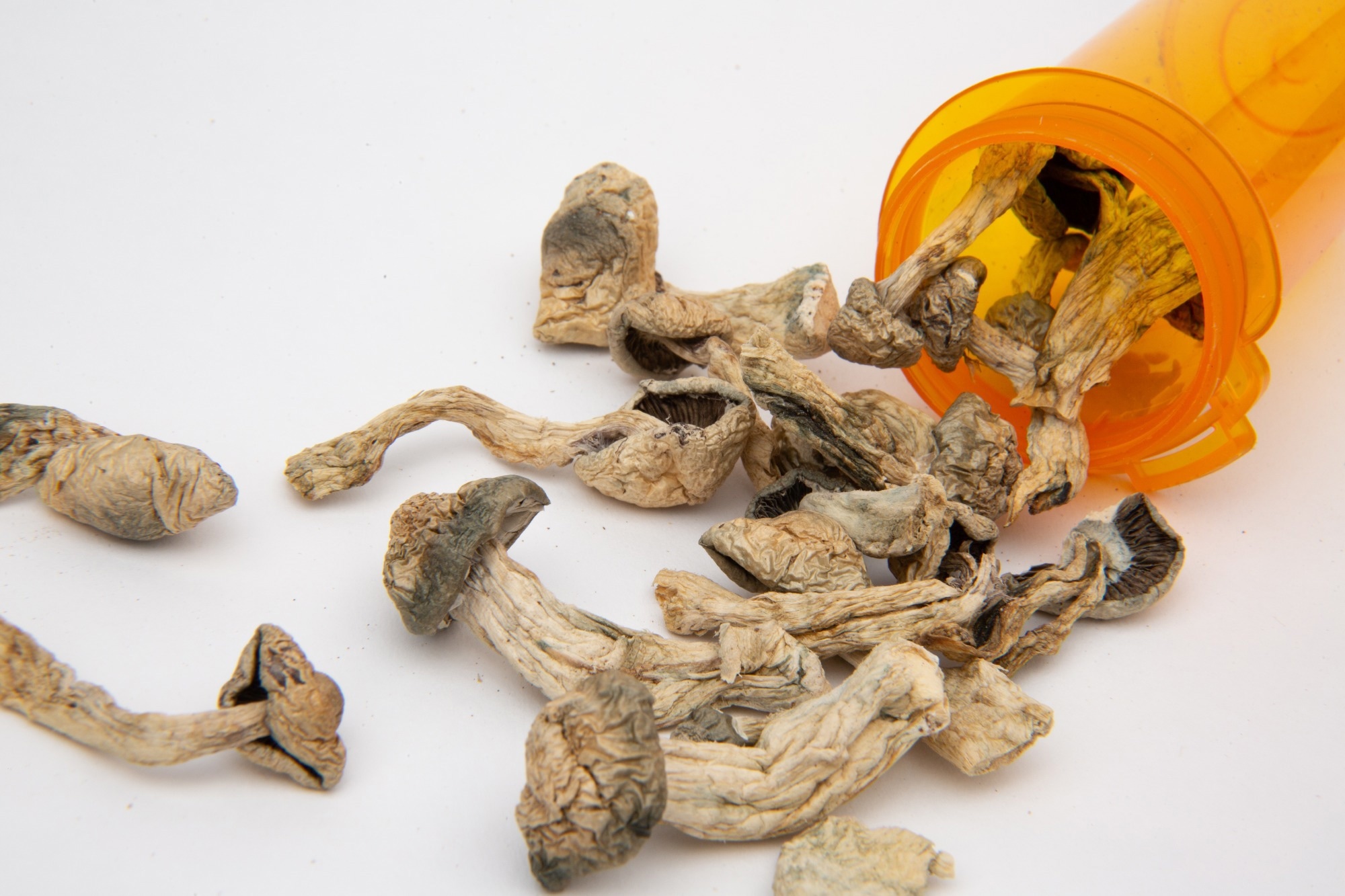 Study: From relaxed beliefs under psychedelics (REBUS) to revised beliefs after psychedelics (REBAS). Image Credit: Daniel Patrick Martin / Shutterstock