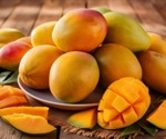 Improving insulin sensitivity with regular mango consumption