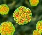 Rare enterovirus strain in Spain raises alarms over potential outbreaks