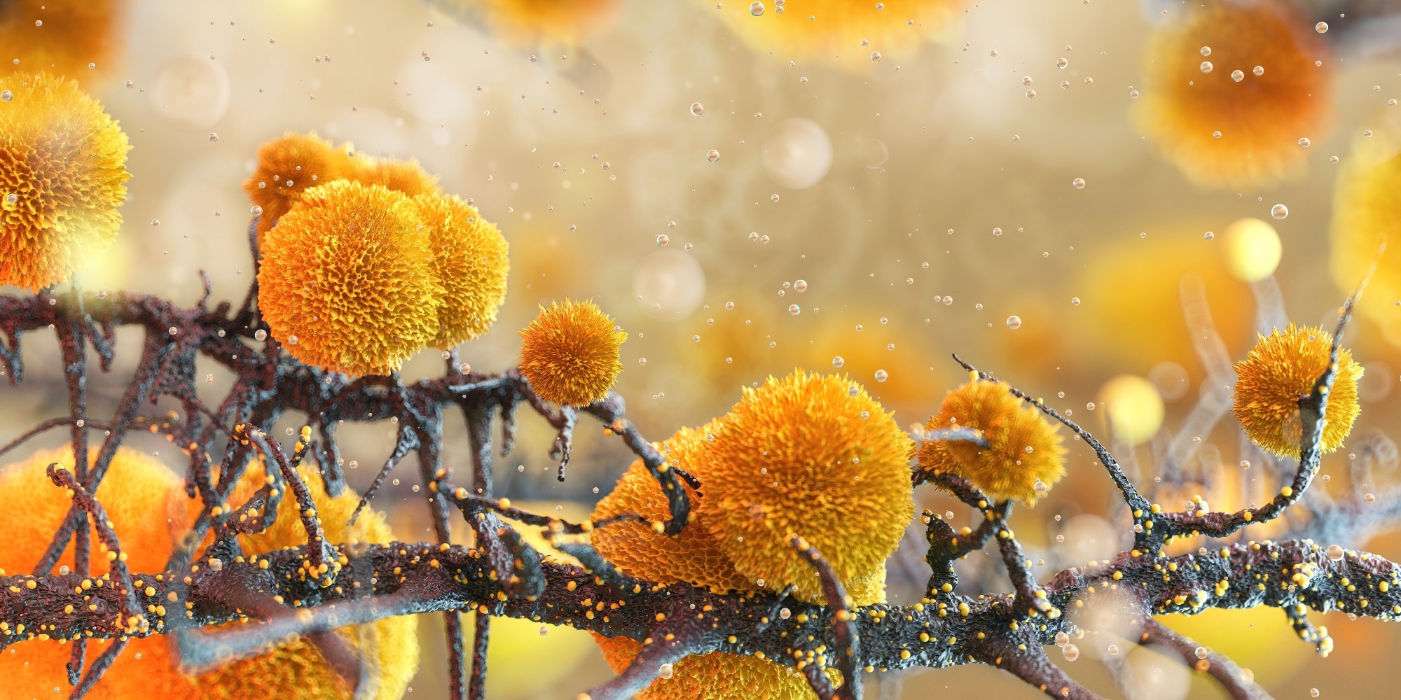 Study: Conversation between skin microbiota and the host: from early life to adulthood. Image Credit: Corona Borealis Studio / Shutterstock