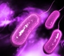 Study finds fewer H. pylori infections among Parkinson’s patients