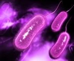 Study finds fewer H. pylori infections among Parkinson’s patients