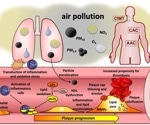 Air pollution fuels artery damage and accelerates heart disease, review finds