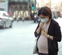 Air pollution’s chemical punch alters immune markers in pregnant women, study finds