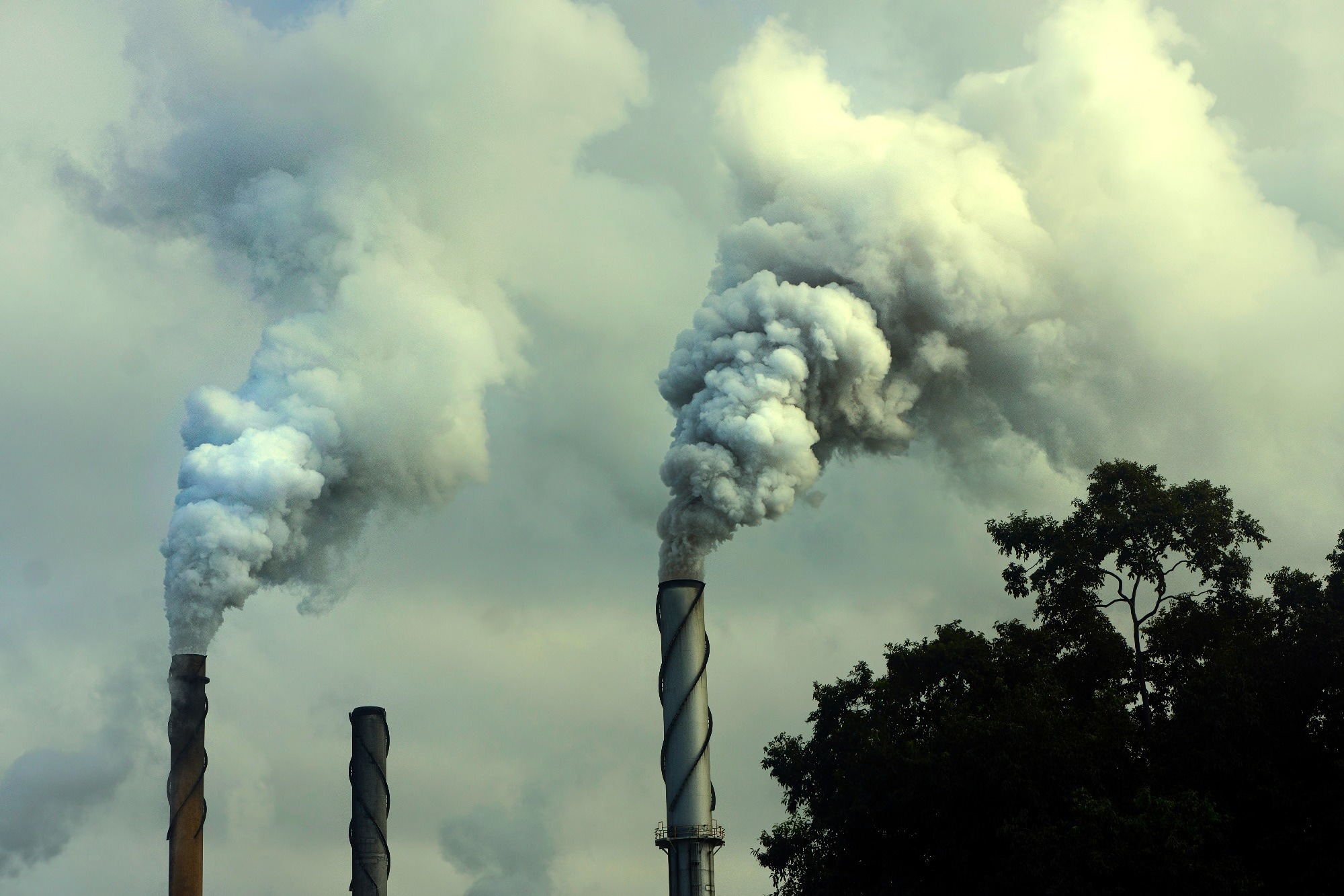 Review: Impact of Air Pollution and Occupational Inhalation Exposures on Neurodegenerative Disorders: an Epigenetic Perspective. Image Credit: IngeBlessas / Shutterstock