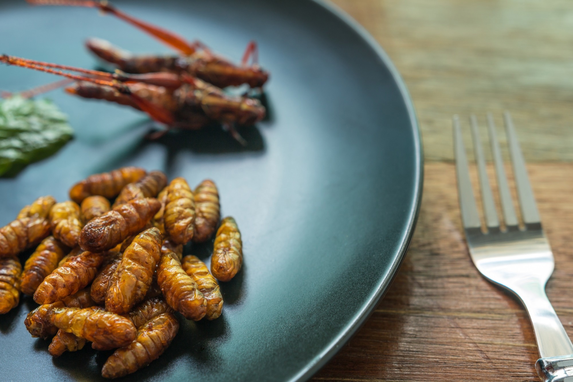 Review: Beyond the buzz: insect-based foods are unlikely to significantly reduce meat consumption. Image Credit: Charoen Krung Photography / Shutterstock