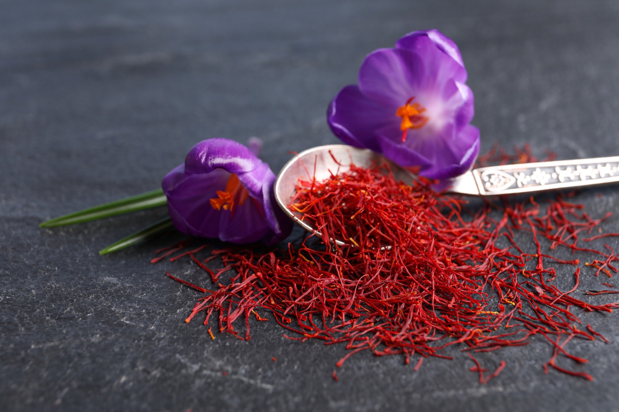 Review: From Mood to Memory: Unlocking Saffron’s Potential in Brain Health. Image Credit: New Africa / Shutterstock