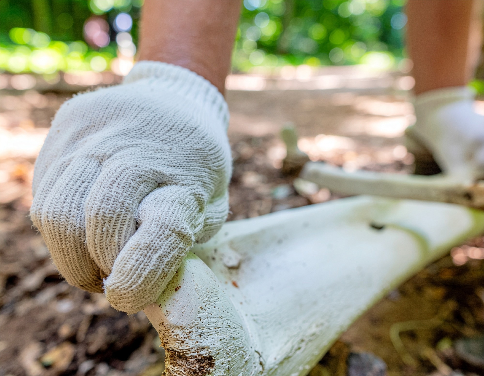 Study: Large-scale processing of within-bone nutrients by Neanderthals, 125,000 years ago. Image Credit: Adobe Firely
