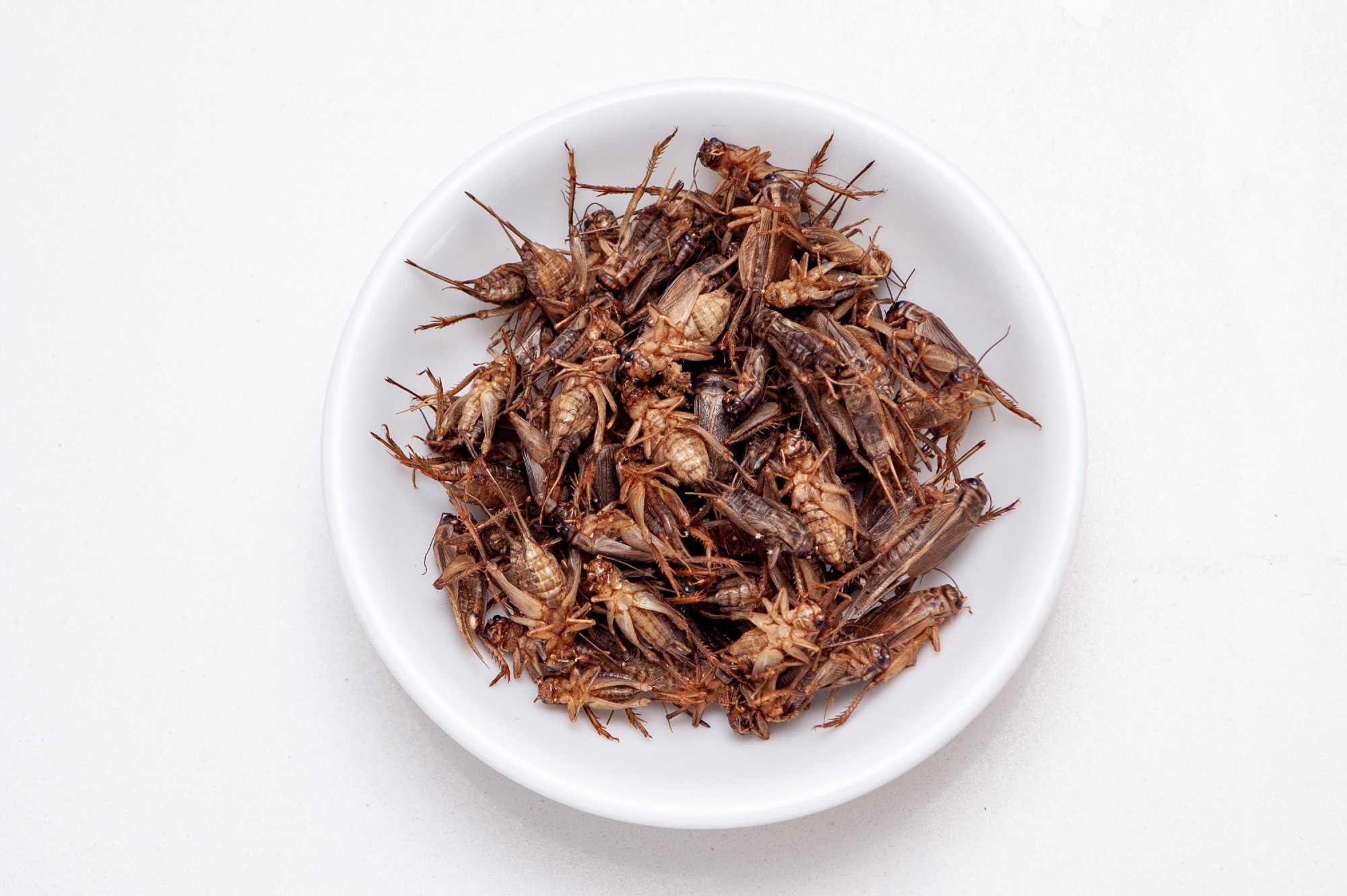 A heap of brown edible crickets in a white ceramic saucer