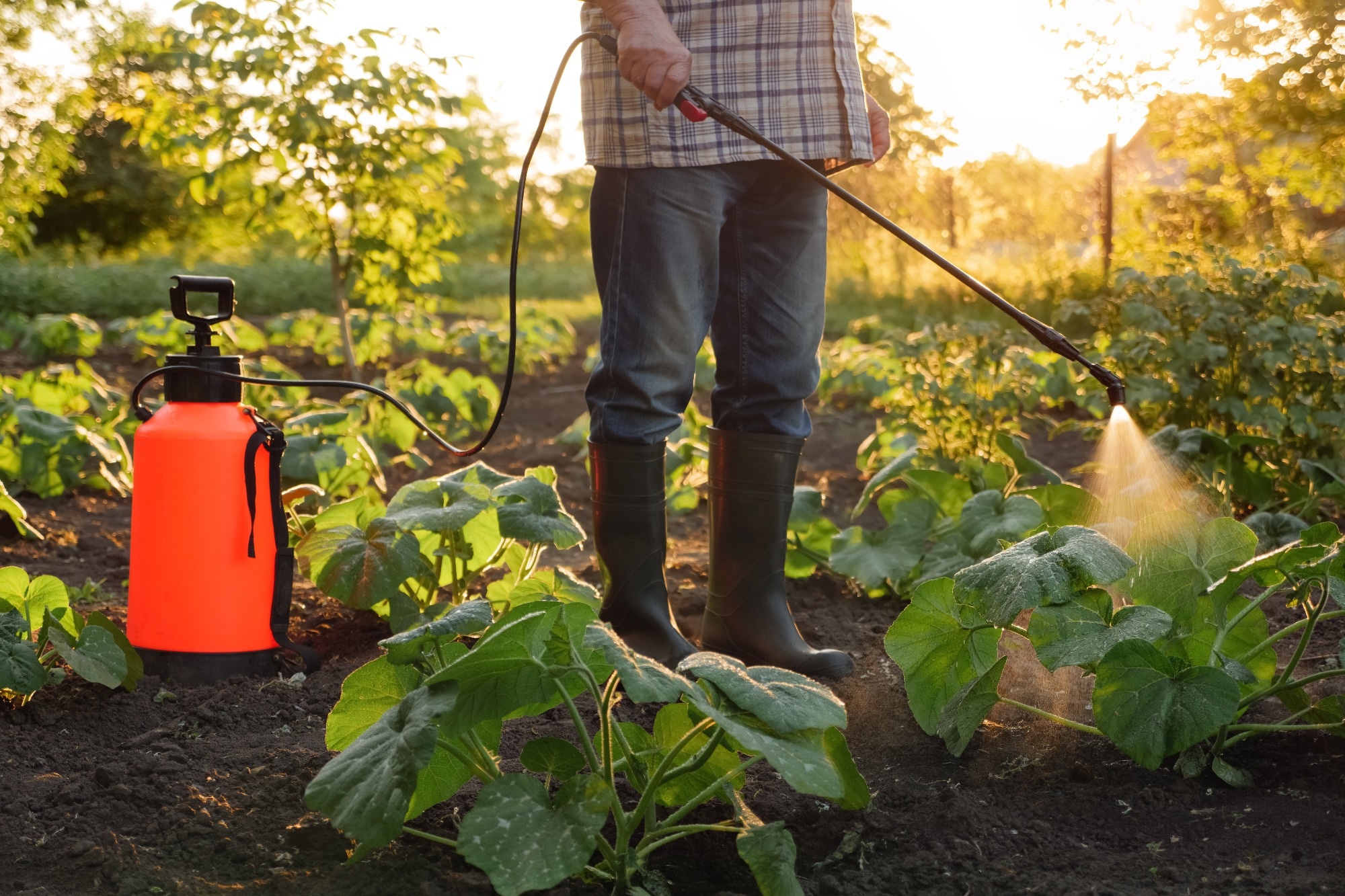 Farmer spraying pesticide