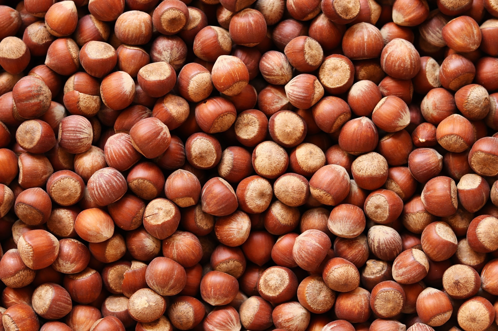 Study: Incorporation of hazelnut skin green extract in pork burgers delays lipid oxidation during cooking and in vitro digestion. Image Credit: Alina Kay / Shutterstock