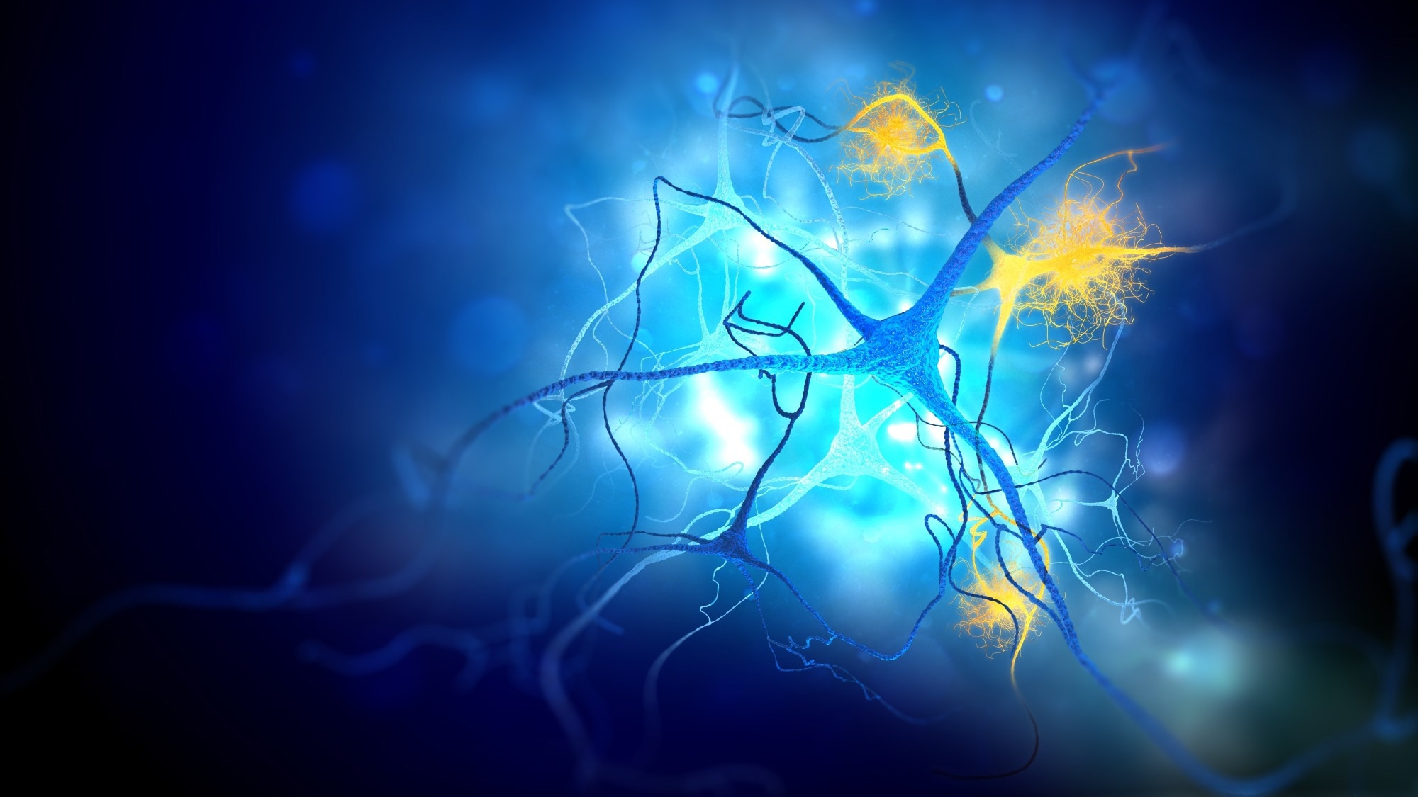 Study: APOE ε4 carriers share immune-related proteomic changes across neurodegenerative diseases. Image Credit: Andrii Vodolazhskyi / Shutterstock