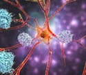 Dual cancer drugs restore memory and rewire brain cells in Alzheimer’s mouse models