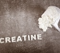 Creatine may enhance neuroprotection through energy pathways
