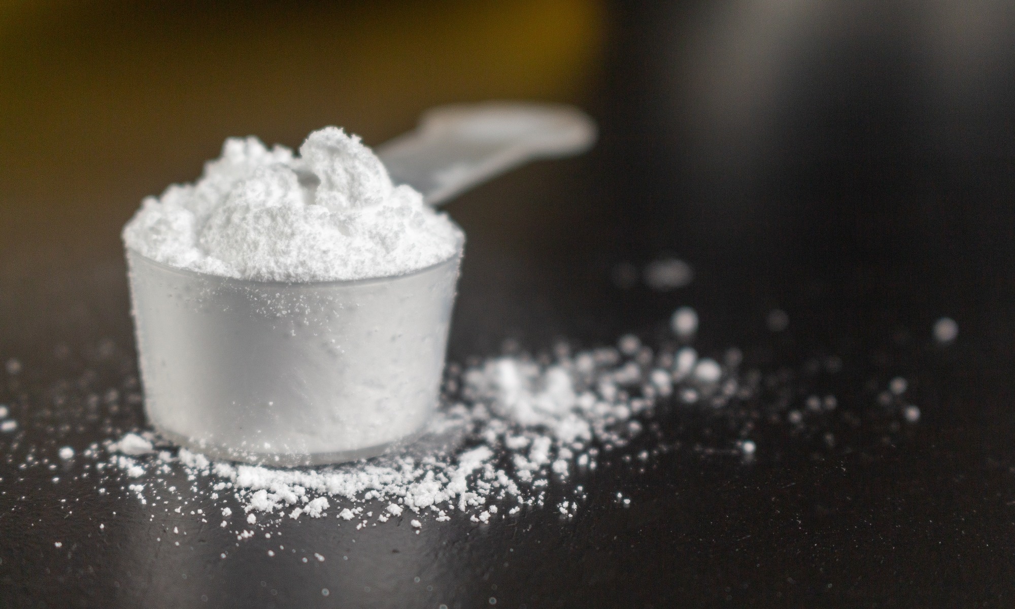 Creatine powder in a measuring scoop