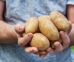 Diabetes risk hinges on how you cook potatoes