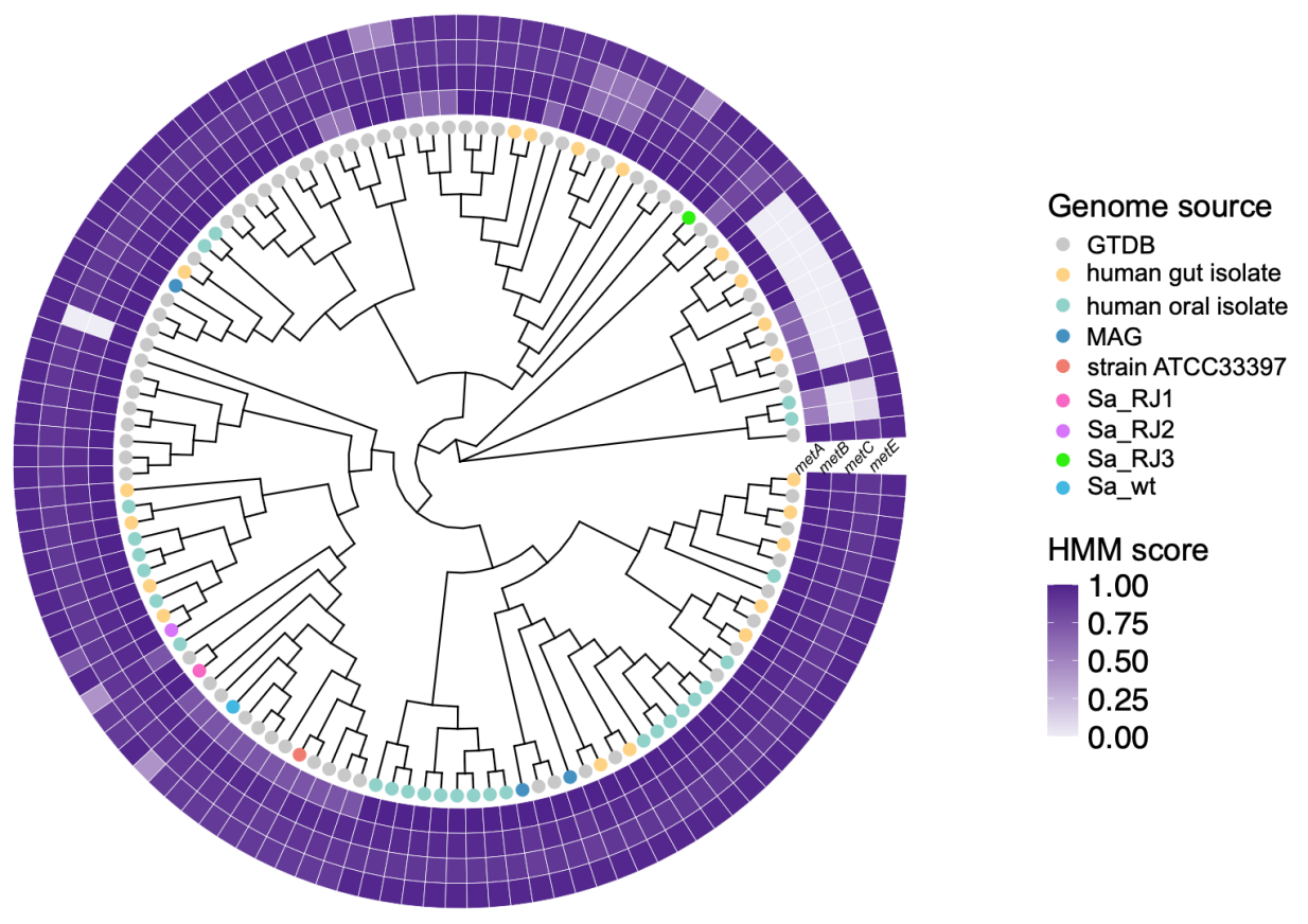 A circular diagram with different colored squaresAI-generated content may be incorrect.