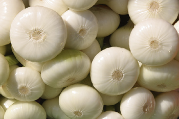 Besides adding flavor to food, onions also may be good for your bones. Researchers at the University of Bern in Switzerland have identified a compound in the popular vegetable that appears to decrease bone loss in laboratory studies using rat bone cells.