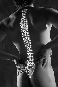 Results of a new study suggest that the higher prevalence of celiac disease in individuals with osteoporosis than in the general population may justify screening of patients with osteoporosis for celiac disease, according to an article in the February 28 issue of Archives of Internal Medicine, one of the JAMA/Archives journals.