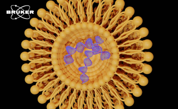 Unlocking the Future of Medicine: The Incredible Potential of Lipid Nanoparticles (LNPs)