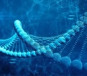 Researchers discover how RNA molecules influence multiple generations
