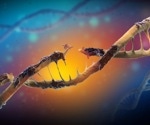Genomic disorders occur more frequently than previously thought