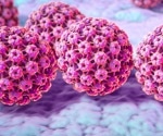 Infection with one HPV type strongly increases risk of reinfection in men