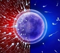 Study uncovers key protein complex controlling sperm motility and male fertility