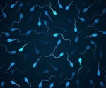 Men lack knowledge about risk factors contributing to male infertility, study finds