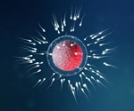 Research into biology behind sperm development could offer hope for solving male infertility