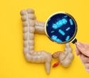 Genes influence the gut microbiome beyond the individual