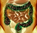 Genes influence the gut microbiome beyond the individual
